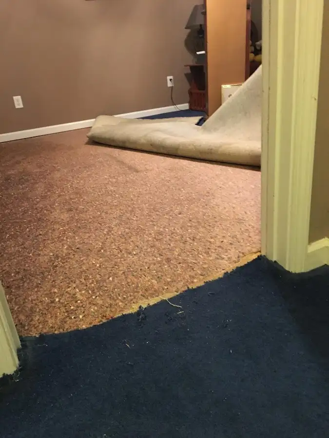 Carpet pad removal revealing water damage during Water Mitigation Services in Mansfield